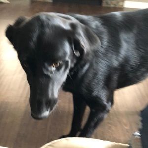 Meet your Posher, Kristy